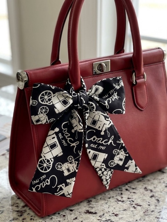 Coach Accessories - Coach Horse & Carriage Silk Skinny Bag Scarf EUC